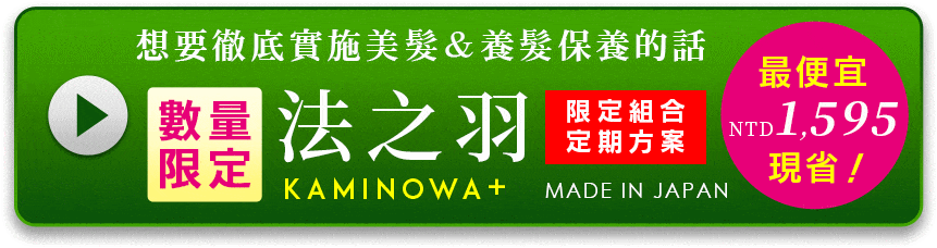 想要徹底實施美髮&養髮保養的話